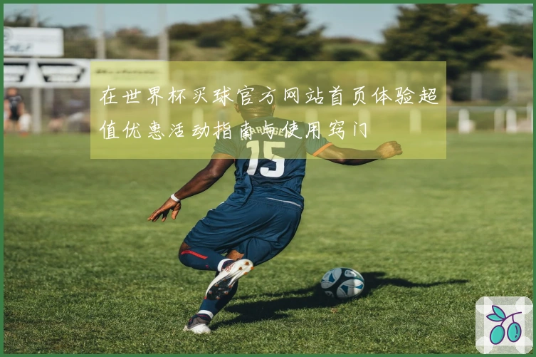 在世界杯买球官方网站首页体验超值优惠活动指南与使用窍门