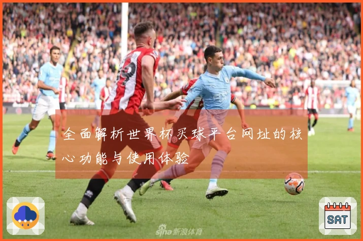全面解析世界杯买球平台网址的核心功能与使用体验
