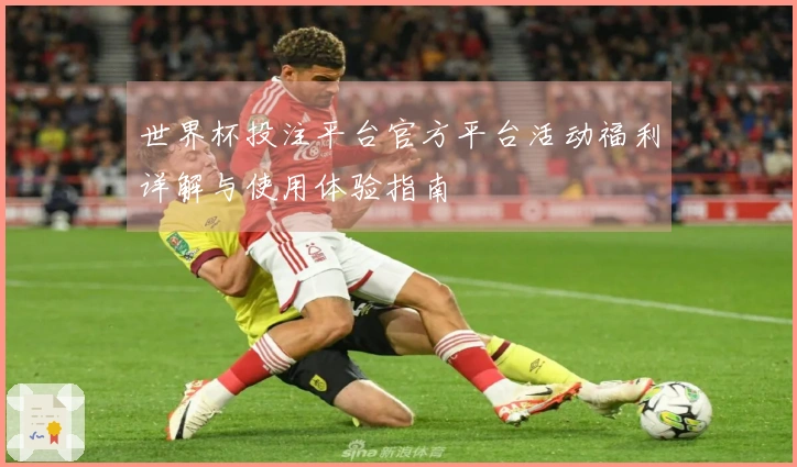 世界杯投注平台官方平台活动福利详解与使用体验指南