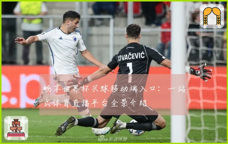 畅享世界杯买球移动端入口：一站式体育直播平台全景介绍