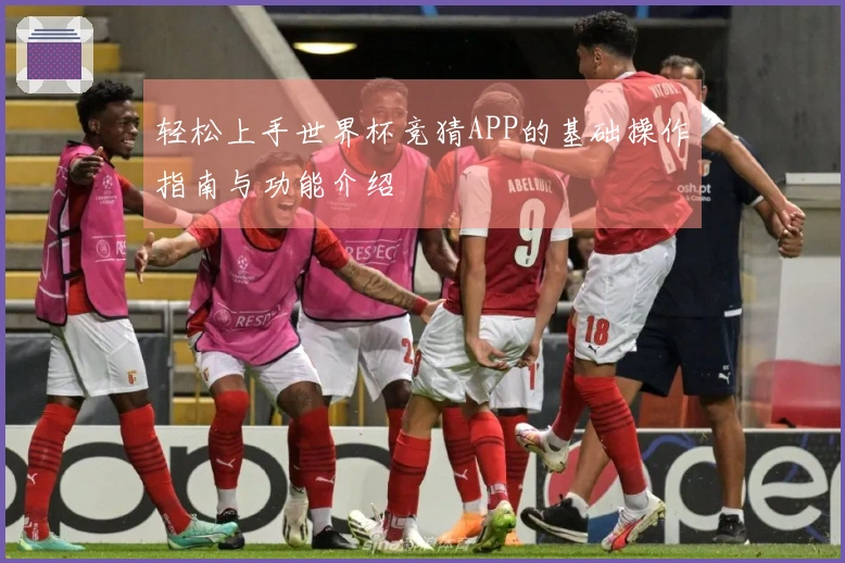 轻松上手世界杯竞猜APP的基础操作指南与功能介绍