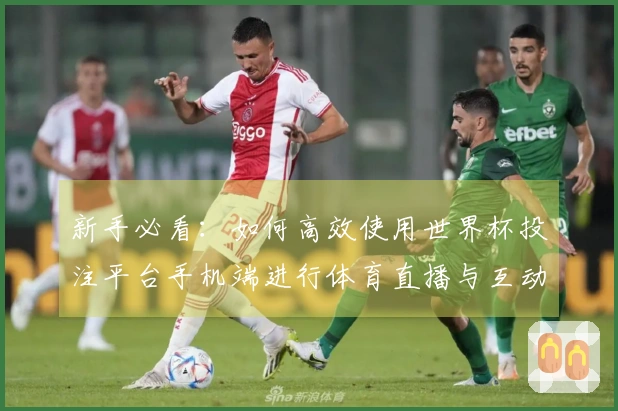新手必看：如何高效使用世界杯投注平台手机端进行体育直播与互动