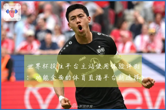 世界杯投注平台主站使用体验评测：功能全面的体育直播平台新选择