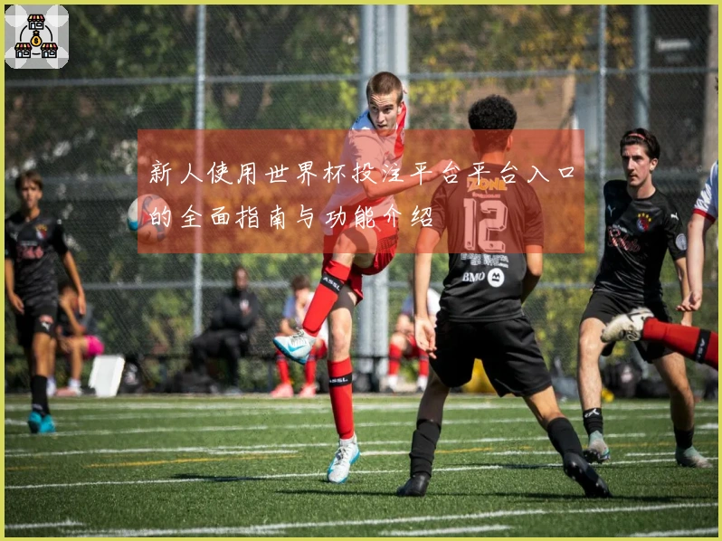 新人使用世界杯投注平台平台入口的全面指南与功能介绍