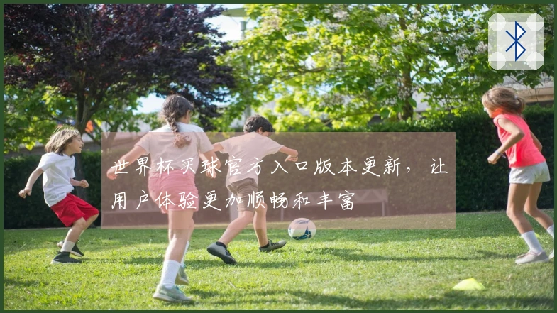 世界杯买球官方入口版本更新，让用户体验更加顺畅和丰富