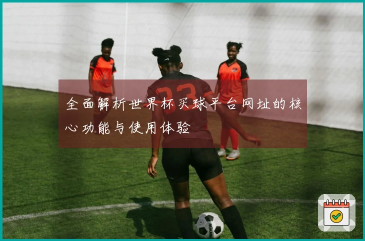 全面解析世界杯买球平台网址的核心功能与使用体验