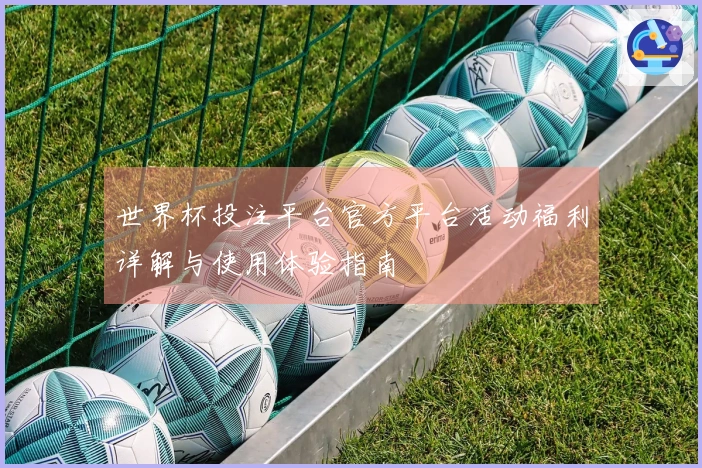 世界杯投注平台官方平台活动福利详解与使用体验指南