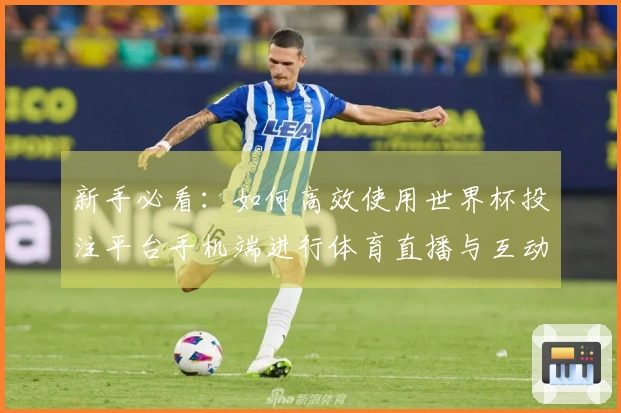 新手必看：如何高效使用世界杯投注平台手机端进行体育直播与互动